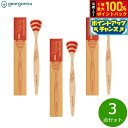 【8/1限定!抽選で2人に1人最大100%ポイントバック!要エントリー】georganics ビーチウッドタンブラシ ミディアム 3点セット