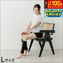 【8/1限定!抽選で2人に1人最大100%ポイントバック!要エントリー】テラビューティー レッグウォーマー L 【送料無料】 ふくらはぎ 冷え むくみ テラヘル...