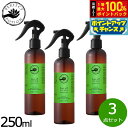 【8/15限定!抽選で2人に1人最大100%ポイントバック!要エントリー】PERFECT POTION バズオフルームスプレー 250ml×3点