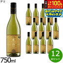 【8/15限定!抽選で2人に1人最大100%ポイントバック!要エントリー】フォルトゥナート スペリウール シャルドネ チリ産 辛口 白ワイン 金賞 メダル 750ml×12本【送料無料】