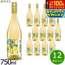 【8/15限定!抽選で2人に1人最大100%ポイントバック!要エントリー】オレンジワイン サングリア オラングリア 750ml×12本