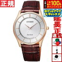 【8/18限定!抽選で最大10000ptバック】シチズン CITIZEN コレクション エコドライブ ソーラー 腕時計 メンズ ペアウォッチ BJ6482-04A