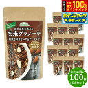 【8/18限定!抽選で最大10000ptバック】順造選 玄米グラノーラ 粗挽きカカオニブ&アーモンド 100g×15袋【送料無料】