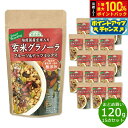 【8/18限定!抽選で最大10000ptバック】順造選 玄米グラノーラ フルーツ&ナッツミックス 120g×15袋【送料無料】