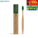 【8/18限定!抽選で最大10000ptバック】georganics ビーチウッドトゥースブラシ ミディアム