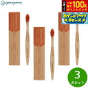 【8/18限定!抽選で最大10000ptバック】georganics ビーチウッドトゥースブラシ キッズ ソフト 3点セット