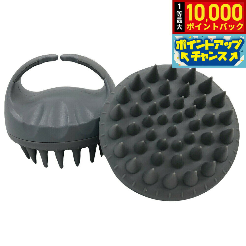 【抽選で最大10000ptバック！11/25限定！】テラビューティー テラスカルプブラシ【送料無料】 頭皮マッ..