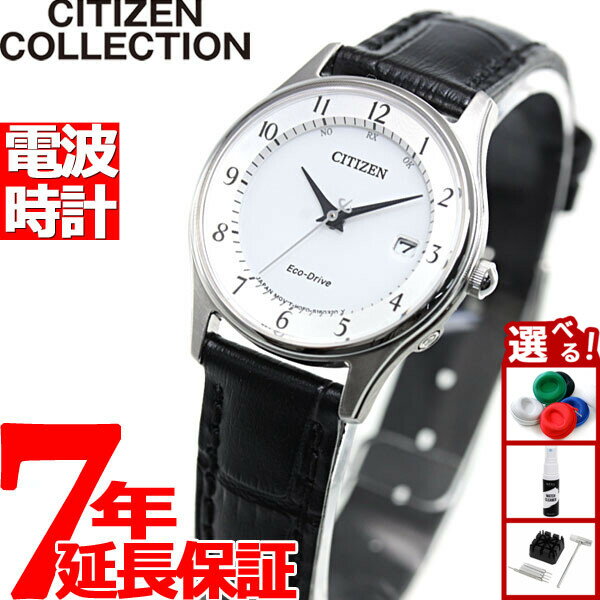 ŹݥȺ44ܡꡪۥ󥳥쥯 CITIZEN COLLECTION ɥ饤 顼 Ȼ ǥ ӻ  ...