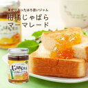 【店内ポイント最大41倍!5月30日!】じゃばら生活 じゃばら果皮入りマーマレード 140g ジャム トッピング ナリルチン 邪払 無添加 国産 ビートグラニュ...
