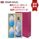【ギフト セット】 【 送料無料】 贅沢ジンソーダセット シタデルジン &能勢 ミネラルソーダ 300ml×2本フランス ジン 人気 天然水 強炭酸
