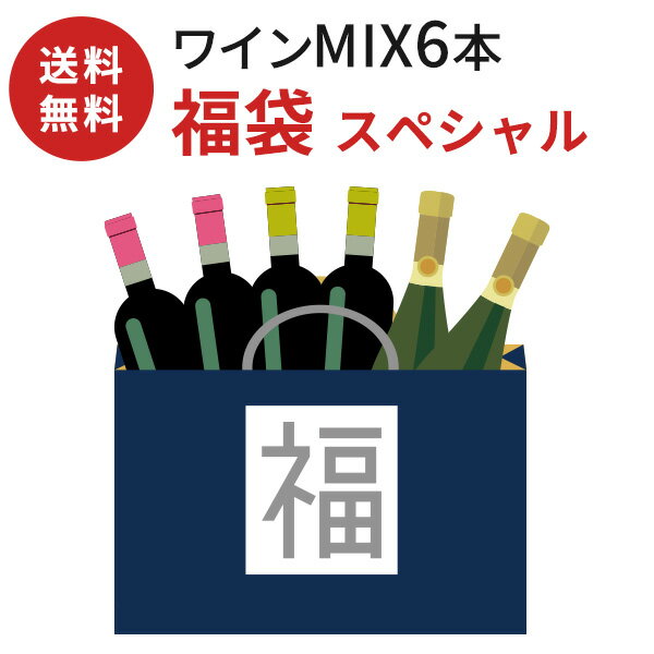 【送料無料】ワイン 飲み比べセット 赤 白 スパークリングワイン MIX福袋 6本セット〔スペシャル〕　ミックス　赤ワイン　白ワイン　ロゼワイン　スパークリングワイン 宝箱 ミステリーボックス