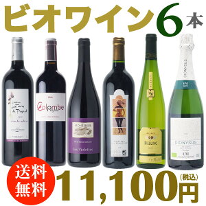 【送料無料】ビオワイン6本セット有機栽培のぶどうを使用