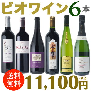 【送料無料】ビオワイン6本セット有機栽培のぶどうを使用