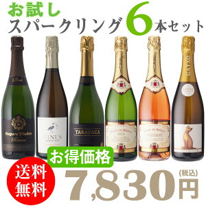お試しスパークリングワイン6本セット