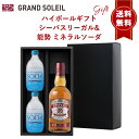 【ギフト 包装込 送料無料】 ハイボール セット：シーバスリーガル&能勢 ミネラルソーダ 300ml×2本ウイスキー スコッチウイスキー 人気 天然水 強炭酸 「ノセソーダ」で美味しいハイボールを！プレゼント 贈り物 贈答 箱入 BOX リボン のし ラッピング