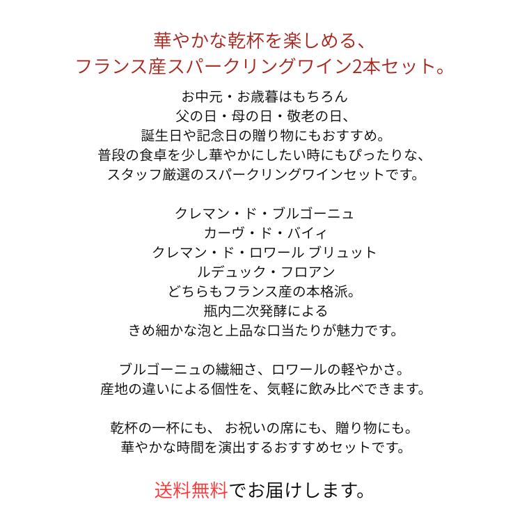 【ギフトセット】 送料無料 フランス産 スパークリングワイン 2本セット ワインギ...
