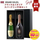 【ポイント10倍確定※エントリー必須】【ギフト セット】 【 送料無料】 スパークリング ワイン 2本 セットワインギフト ワイン ギフト スペイン フランス ...