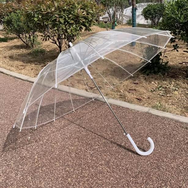 Rakuten - 傘 レディース おしゃれ 華やか シンプル 上品 無地 耐風 風に強い 壊れにくい 可愛い プレゼント ホワイト ブラック