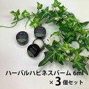 3個セット ハーバルハピネスバーム 6ml グレンジ お試し ボディクリーム デリケートゾーン かゆみ止め 敏感肌 赤ちゃ…