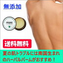 【送料無料】【ハーバルハピネスバーム お試し 6g 】 乾燥...
