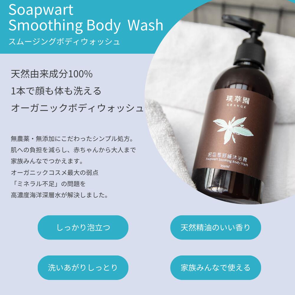 スムージングボディウォッシュ 250ml 無添...の紹介画像2