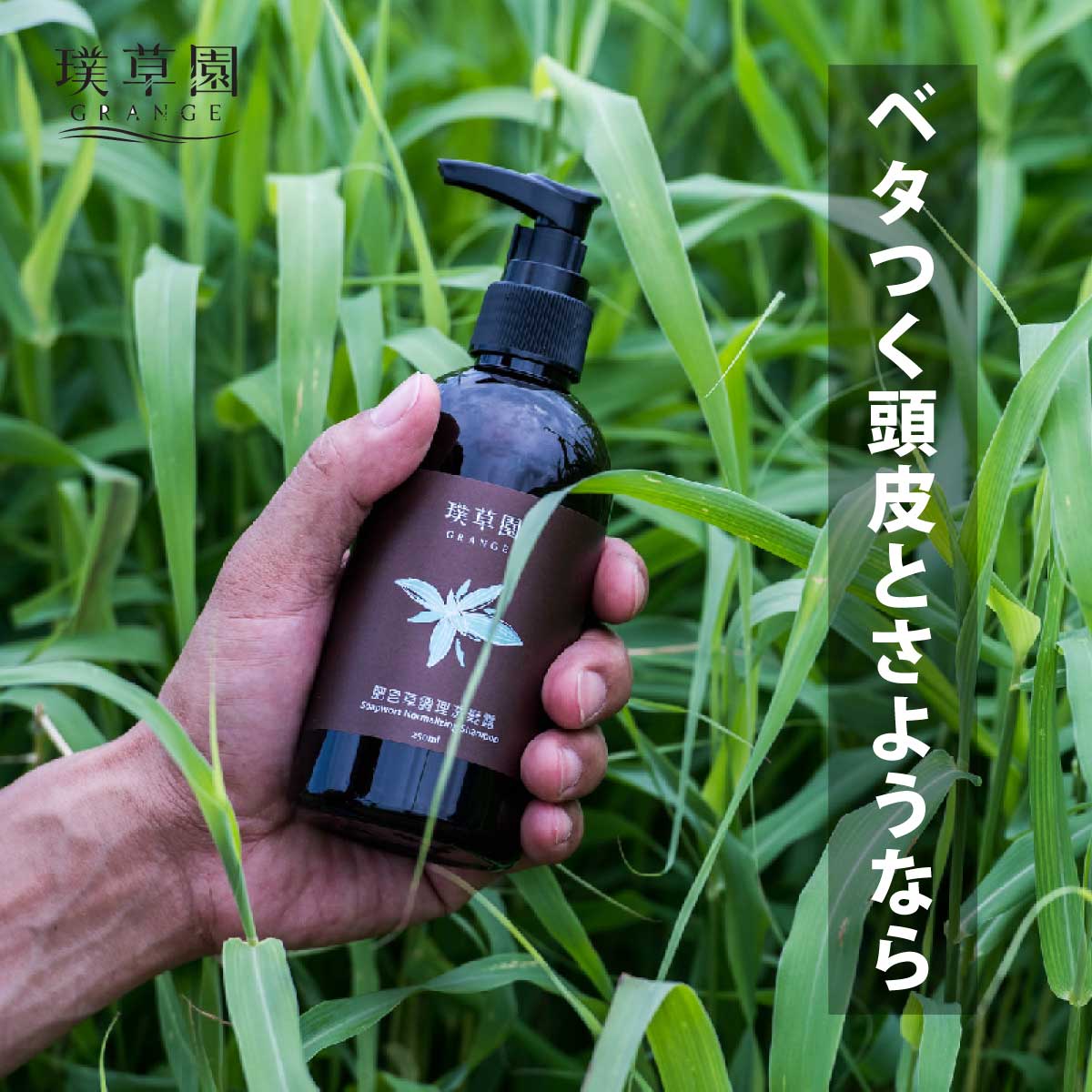 ノーマライズシャンプー 250ml グレンジ 低刺激 オーガニックシャンプー いい匂い いい香り ダメージ補修 アロマオイル 無添加 おすすめ 男性 女性 オイリータイプ メンズシャンプー 脂漏性湿疹 頭皮湿疹 植物性 頭皮ケア 臭い ノンシリコン オーガニックシャンプー メンズ