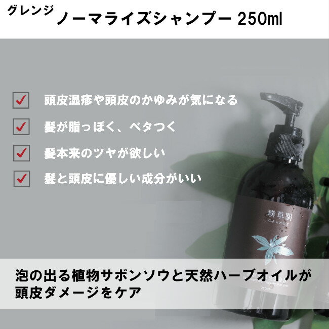 メンズ オーガニック 250ml 敏感肌 おすすめ すっきり Grange おすすめ アトピー肌 250ml ランキング グレンジジャパンレギュラーサイズ250ml 脂で毛穴が詰まる こし ノーマライズシャンプー スムージングヘアコンディショナー ヘアケア2点セット オイリーダメ