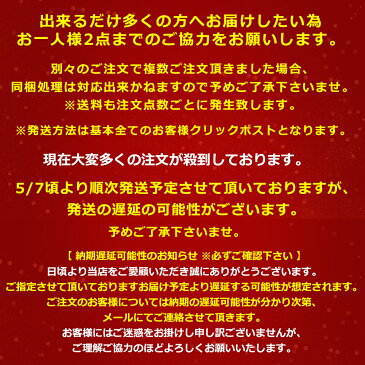 【5/7頃より順次発送】洗える マスク 在庫あり 日本製 抗菌 医療 生地 デニム 岡山 立体縫製 マスク 大人用 感染防止 花粉 小さめ 大きめ ナース 医療カーテン 高機能 飛沫 花粉 防寒 紫外線 蒸れない 風邪対策 咳 クリックポスト MAMORIE マモリエ 1枚入り