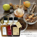 イトク食品 クラフトジンジャー 200ml 選べる12本セット(シロップ、コーラ、チャイ) 1ケース まとめ買い 国産 カクテル ジンジャーシロップ 生姜 Cr...