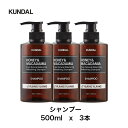 クンダル ネイチャーシャンプー ハニー&マカダミア イランイラン 500ml 3個 KUNDAL H&M 敏感肌 ポンプタイプ ボトル いい香り pHバランス