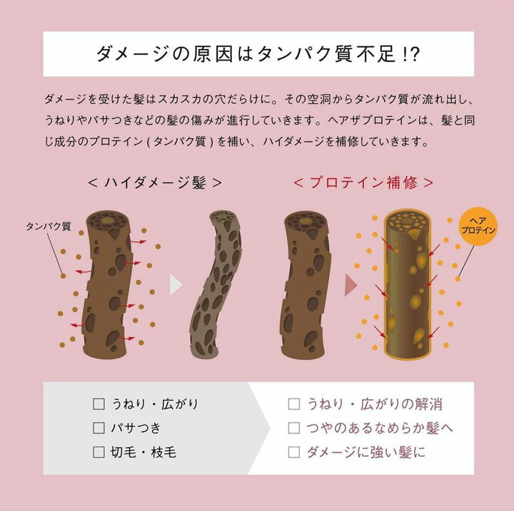 トライアル ヘア ザ プロテイン モイスト シャンプー&トリートメント 1セット HAIR THE PROTEIN お試しサイズ アミノ酸 プロテインシャンプー プロテイン補修 ハイダメージ ダメージケア サロン品質 うねり パサつき 切れ毛 枝毛 ヘアケア 髪質改善 mb