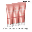 クンダル ダメージケア トリートメント 250ml 3個 ボンディングトリートメント バイオレットミュゲ 香り サラサラ なめらか サロン帰り