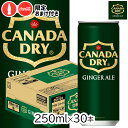 【おまけ付き】コカ・コーラ カナダドライ ジンジャーエール250ml CAN×30本 限定商品 缶 細い缶 小さい缶 チェイサー 割りもの カクテル ジュース 炭酸飲料 定番