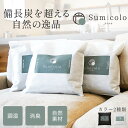 【抽選で最大100%ポイントバック★8/5限定 要エントリー】【20%割引】天然調湿木炭 Sumicolo スミコロ 04 4L×3個 炭 消臭 すみ 黒 ブラ...