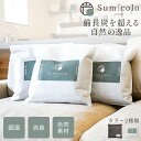 天然調湿木炭 Sumicolo スミコロ 04 4L 1個 炭 消臭 すみ 黒 白 ブラック ホワイト 玄関 調湿 クローゼット 下駄箱 クッションサイズ 除湿 消臭 除湿剤車内 水回り 乾燥剤
