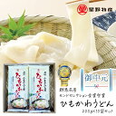 お中元 乾麺 ひもかわうどん 200g 10袋セット 20~30人前 御中元 夏ギフト おいしい 国産 日本産 群馬名産 国産小麦 平麺 ひら麺 もみ切り打ち 乾燥うどん 早ゆで 星野物産 ひらめん 送料無料 熨斗無料
