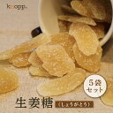 【最大半額クーポン配布中★6/1限定】生姜糖 50g 5袋セット ドライジンジャー 生姜 冷え性 温活 寒い季節 夏バテ 冷房病 体の内側から 温まる しょうが ジンゲロール ショウガオール