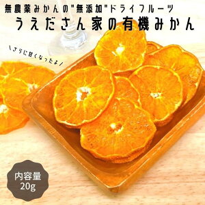 うえださん家の有機みかん 20g 単品 愛媛産 ドライフルーツ 無農薬 南柑20号　mb