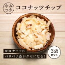 【3袋】 ココナッツチップ 75g 3袋セット ヤシの実 おつまみ おやつ 楽しい食感 美容 人気