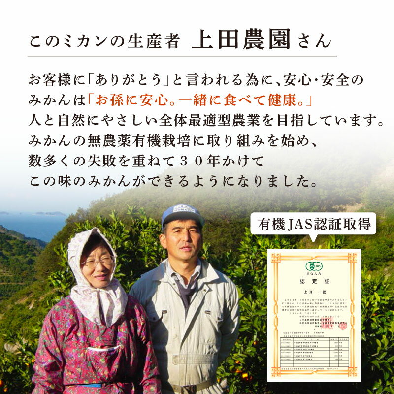 �ں���555�߳���������ѡ������륯���ݥ�������ۤ���������Ȥ�ͭ���ߤ��� 25g 1�� �ɥ饤�ե롼�� �ߤ��� �� �����Ի��� ̵���� ͭ������ �ɥ饤 �ߥ��� ���ڤ� �餴�� ���饤�� �ɥ饤�����