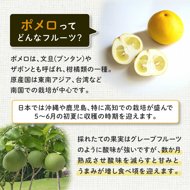 �ں���555�߳���������ѡ������륯���ݥ�������ۥ��Υå� �ݥ�� 70g 1�� �ɥ饤�ե롼�� ������� �ե롼�� ��ʪ ʸö �֤󤿤� ���ܥ� �ݥ���ԡ��� ��̣ ��̣ ��� ���Ĥޤ� ���㤦��