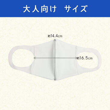 【日本製・男性ジャストサイズ】洗える抗菌マスク 2枚セット 大人向け Lサイズ　[ 抗菌 水着素材 水着生地 水着マスク 洗える マスク 洗えるマスク 日本製 布 大人 男性用 白 ホワイト おしゃれ 通気性 風邪 花粉 ほこり 速乾 繰り返し 伸縮性 乾きやすい ピッタマスク ] mb