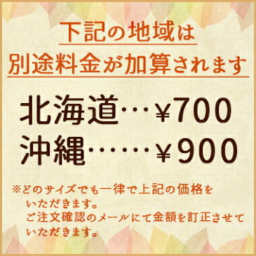 [クーポンで最大500円OFF]日清MCTオイル 400g×4本セット テレビで話題！中鎖脂肪酸100％【送料無料】【区分A】 hs [北海道・沖縄へは追加料金]