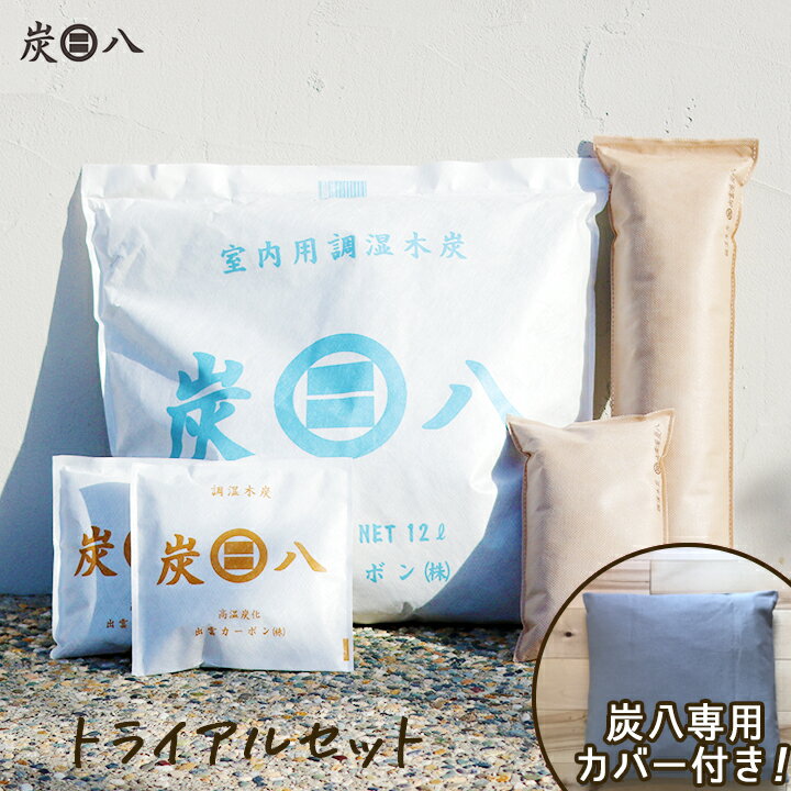 伸興サンライズ オアシス シリカゲルの除湿剤 5g×50袋入 (乾燥剤)