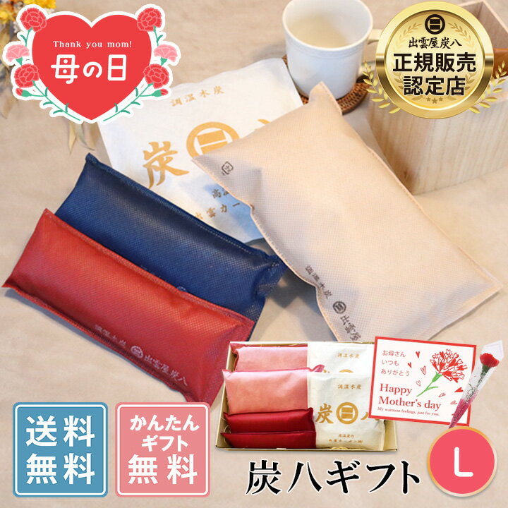【早割10％割引★母の日ギフトクーポン配布中】炭八 プレゼント 出雲屋炭八 ギフトL ＜スマート小袋...