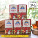 【ポイントUP！NEWパッケージ】GRANJA SanFrancisco『はちみつ紅茶（20袋入）×5箱セット』紅茶 ティーバッグ はちみつ ハチミツ 蜂蜜 アイスティー ホットティー お土産 手土産 ギフト スペイン直輸入