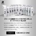 grantz:10004173のサンプル画像2