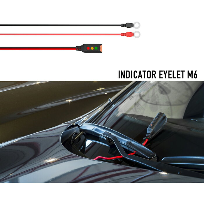 Ctek シーテック コンフォートインジケーター アイレット 電圧インジケーターランプ付キコネクタ M6用端子 F6mm Wc 人気海外一番 純正品 バッテリーケーブル Se直輸入 ワンタッチ接続 車 56 629 カーアクセサリー バッテリーチャージャー 並行輸入品 Ctek 並行輸入