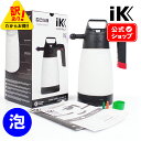 【 訳あり・箱つぶれ 】 iK FOAM Pro2 