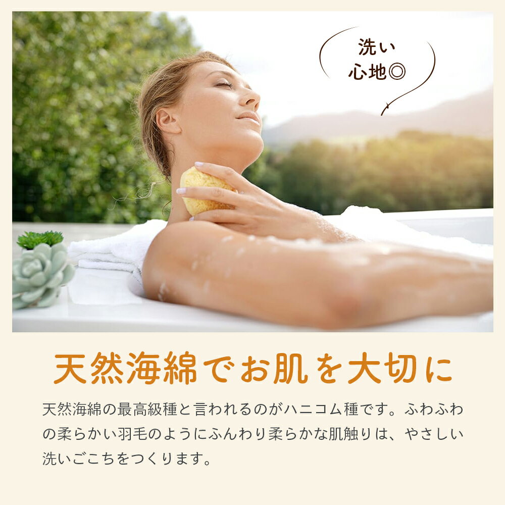 �� ����̵�� �� �٥꡼�� ŷ�� ���ʥ��ݥ� �� �ϥ˥��� �� / ������ L������ ��14��16cm �� ����Ϥ ���ݥ� ���ʼ����ݥ� ŷ�� �������ݥ� ȩ�Ӥ� ����ȩ �ܥǥ������� ���ȥԡ� ȩ�ȥ�֥� Be-Felice �����ƥ�����������ѥ� ������